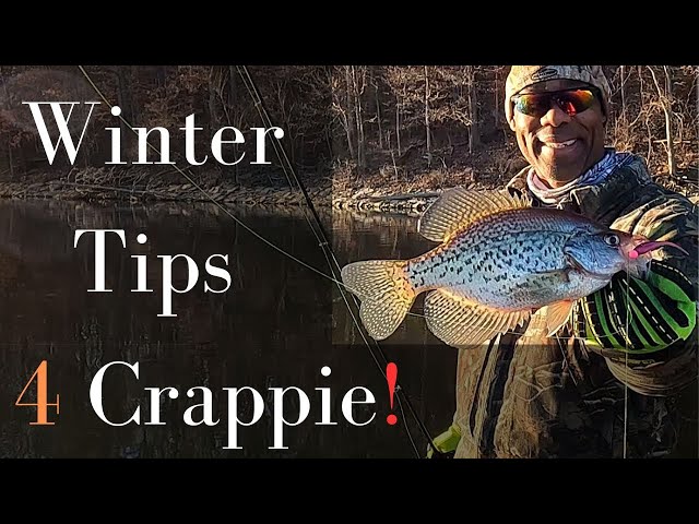 Winter Crappie Fishing Tips: Uncover the Secret of Stump Stacked