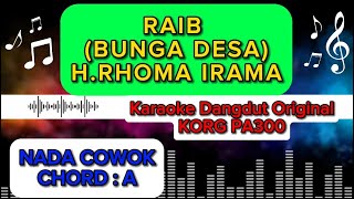 RAIB (BUNGA DESA) KARAOKE DANGDUT ORIGINAL MANUAL #korgpa300 #karaoke #karaokedangdut #dangdut #org
