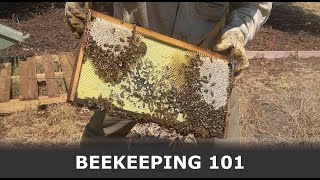 BeeKeeping 101: How to Take Care of Bees | EP 014