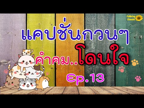 แคปชั่นกวนๆ  Update  แคปชั่นกวนๆ คำคมโดนใจ Ep.13