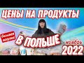 Дорого ли жить в Польше?🤔 Закупка и цены на продукты в ноябре 2022