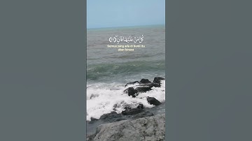 ماتيسر من سورة الرحمن 😔😭(كل من عليها فان ويبقى وجه ربك ذو الجلال والإكرام) 😭#بصوت مأثر جداً #😔