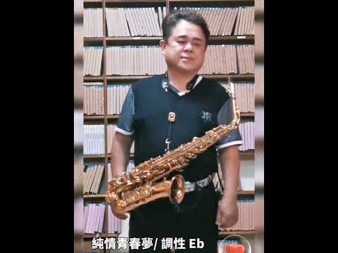純情青春夢 / 胡笙OSAMA SAX