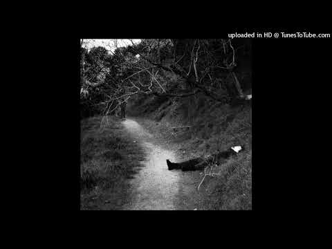 BONES, GREAF - MoreDots