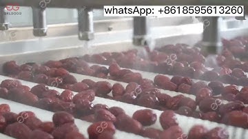 Dates Washing And Drying Machine
