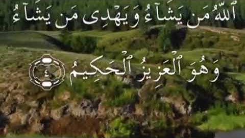 اوائل سورة ابراهيم صفحة ٢٥٥ مكتوبة مكررة بصوت عذب لسعد الغامدي