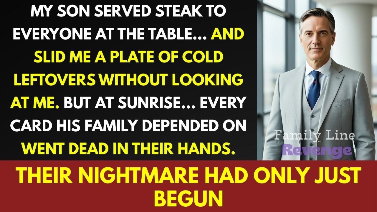 My Son Served Me Cold Leftovers… By Morning, Every Card He Lived On Was Frozen