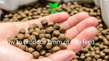 Feed Formulation/How to produce 6mm of fish feed step by step guide