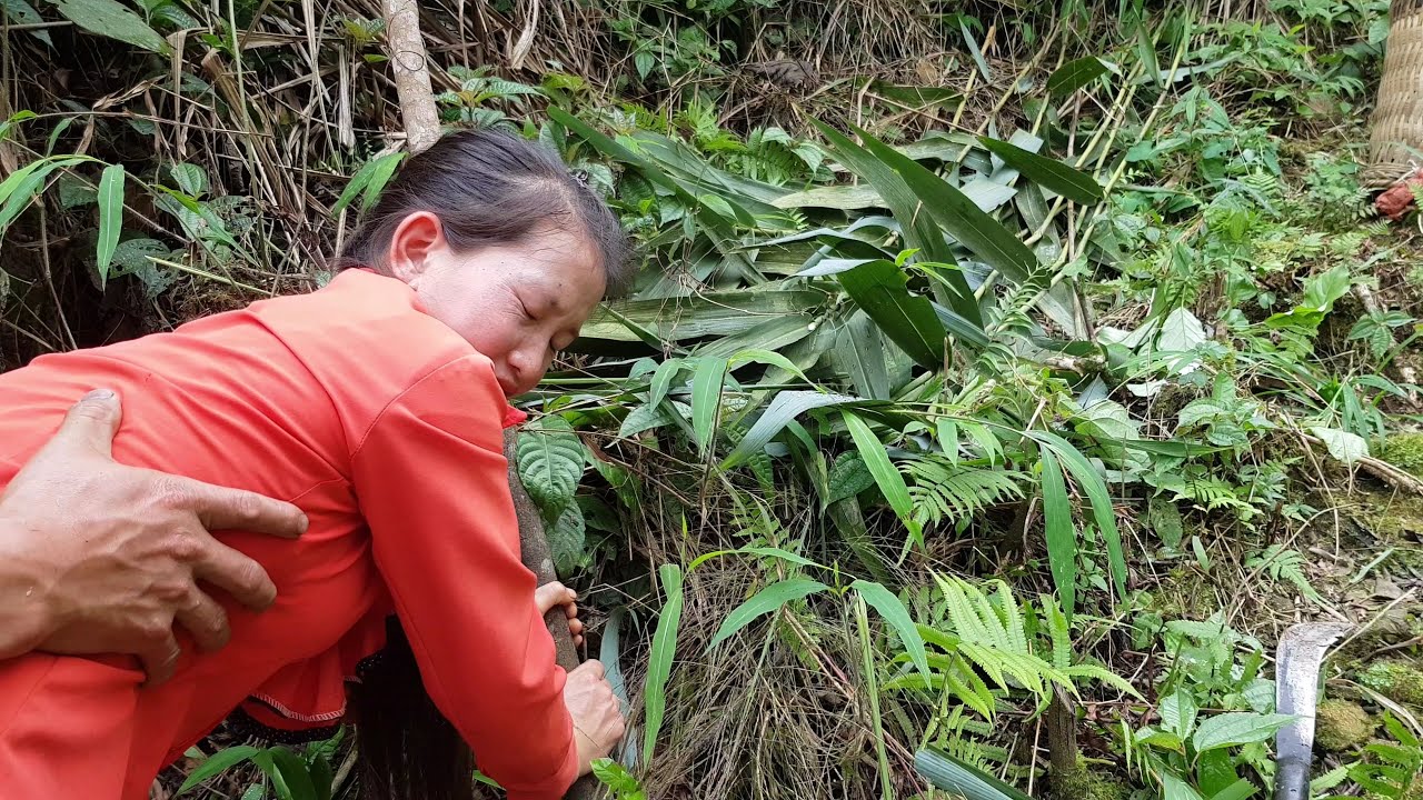 My single mother went to the forest to pick vegetables to give to the ...