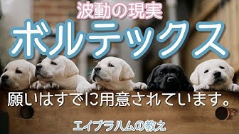 エイブラハム Youtube エイブラハム Youtube
