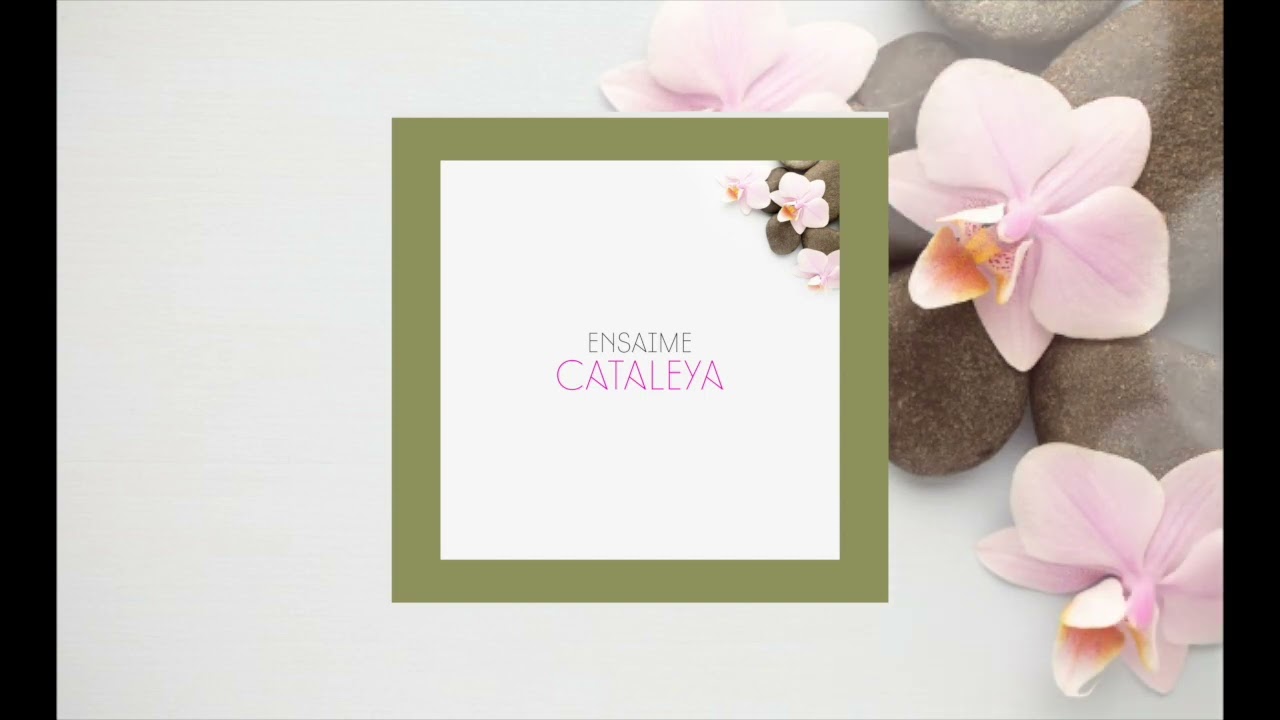 Watch Ensaime - Cataleya (Original Mix) on YouTube Watch Ensaime - Cataleya (Original Mix) on YouTube