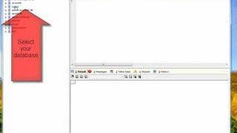 Executing SQLyog Query