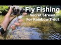 Fly Fishing Secret Stream for Rainbow Trout