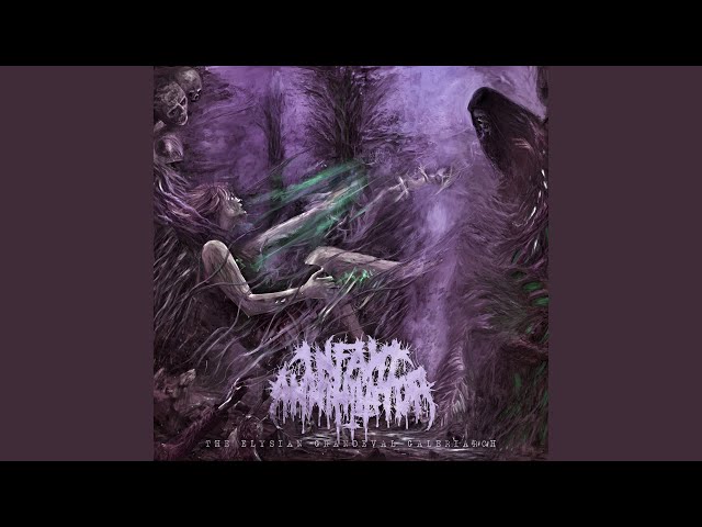 Infant Annihilator - Baptised, Bastardised, Sodomised