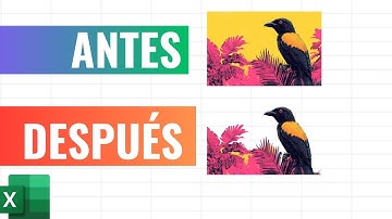 ELIMINADOR de FONDOS de imágenes gratis #excel 💎 🔥