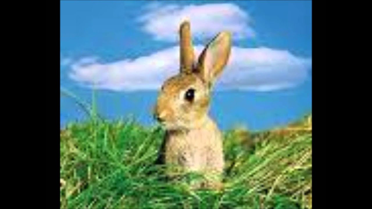 Lip Sync Christmas Mix