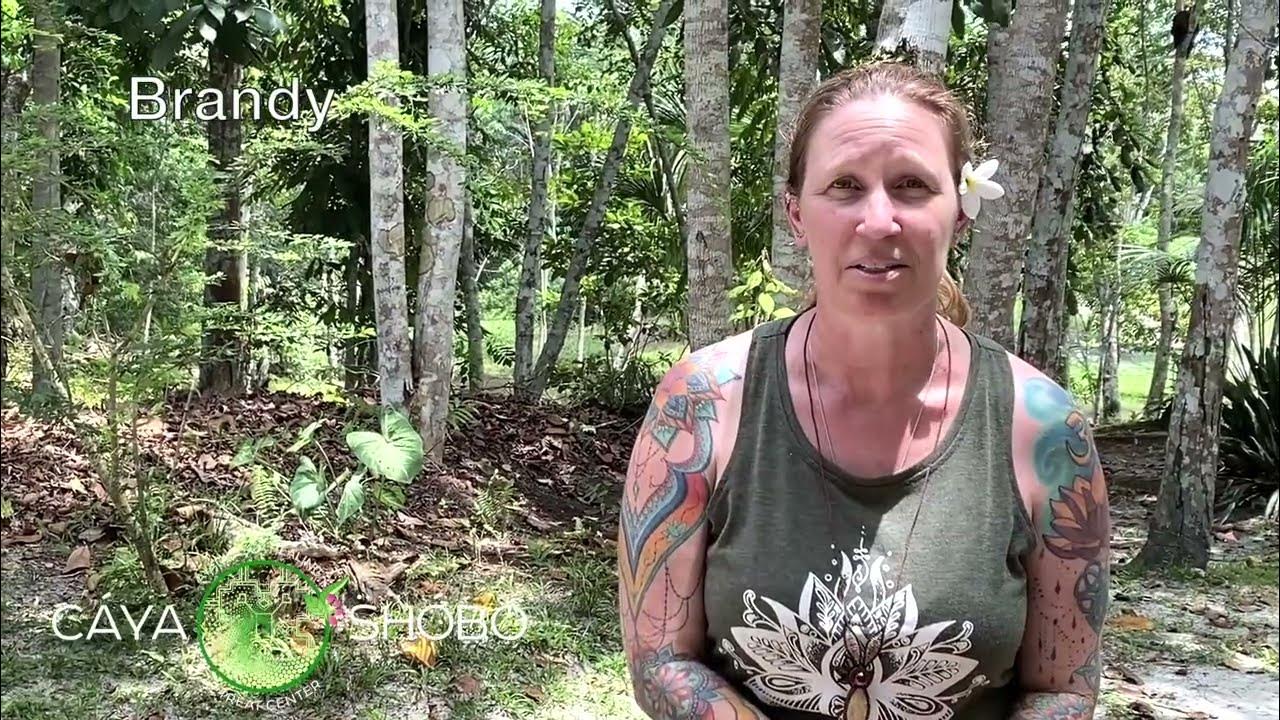 Video article
