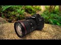 Best Budget DSLRs in 2020 | Top 3 Cheap DSLR Options