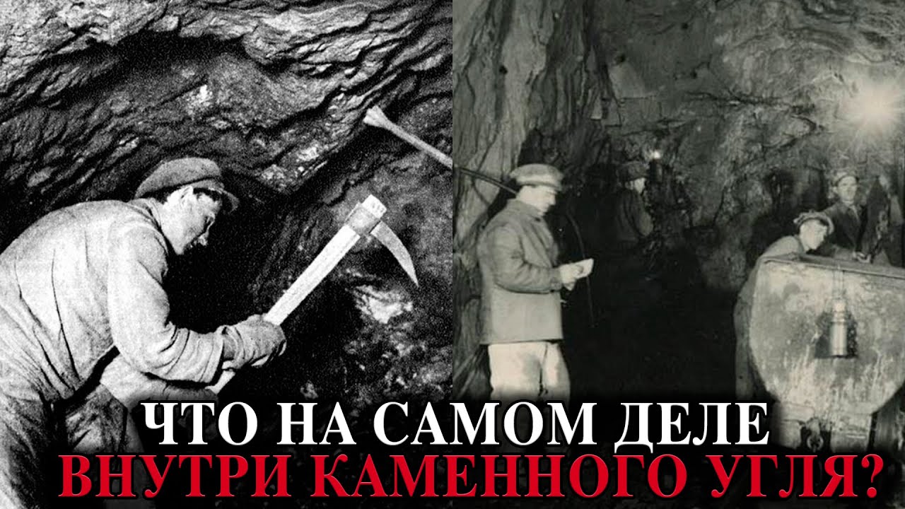 УГОЛЬ — ЭТО НЕ ДЕРЕВО :  Что на самом деле внутри каменного угля?