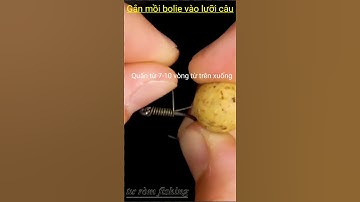 Gắn mồi boilie và lưỡi câu cá #Shorts