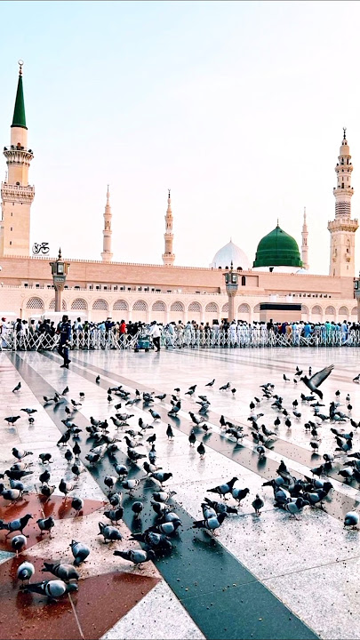 Ya Taiba|Beautiful Arabic Naat #islamic786k5b#spiritique#yataiba