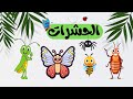 الحيوانات للأطفال استكشاف عالم الحشرات        