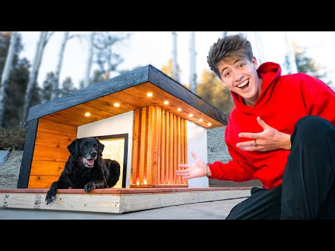 My dog's house was destroyed…so I built her DREAM house!