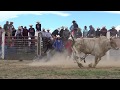 Worst bull riding wrecks of 2017 nnbrs