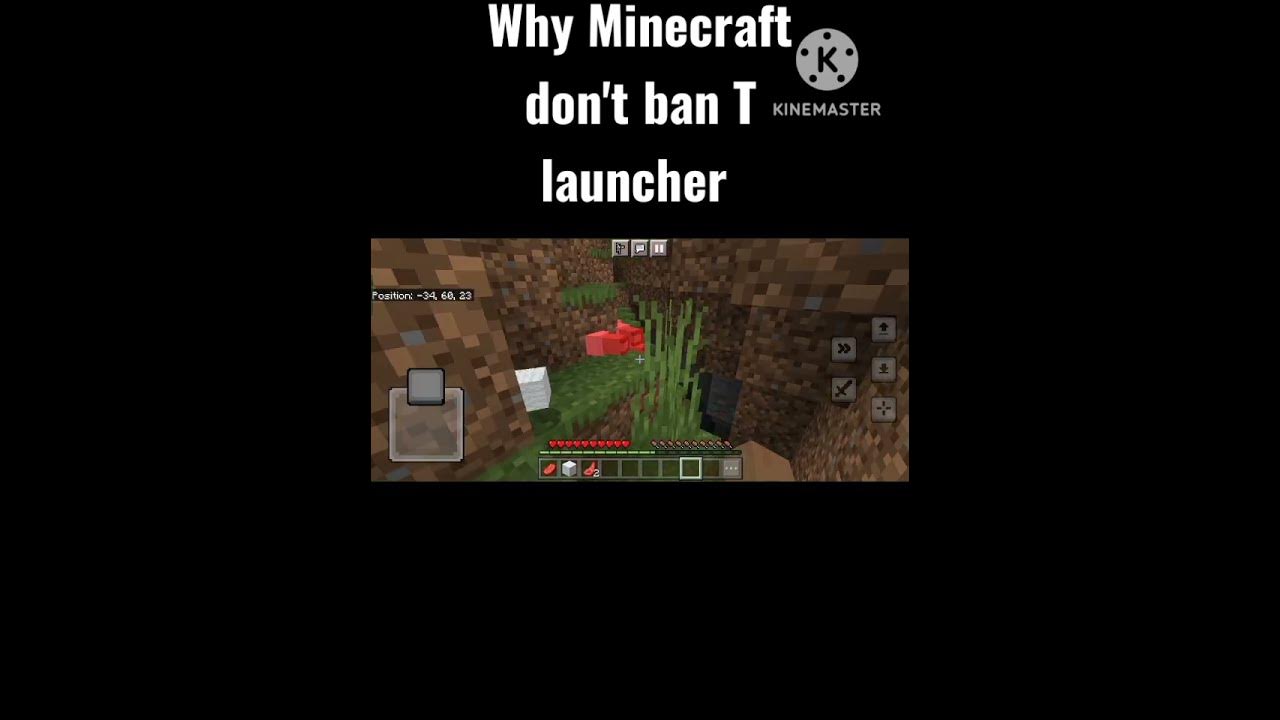 why-minecraft-don-t-ban-tlauncher-shortvideo-viral-minecraft