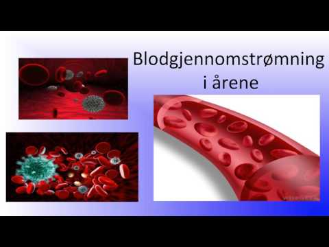 Video: Hvordan flyder blodet gennem moderkagen?