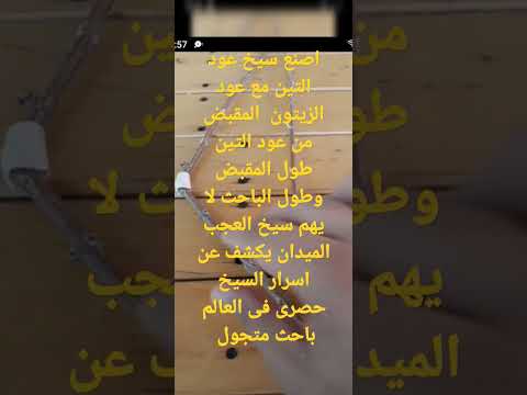 سيخ عود التين مع عود الزيتون المقبض من التين سيخ حصرى فى العالم باحث متجول