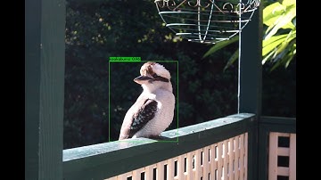 Training Custom Object Detection Models using YOLO v4