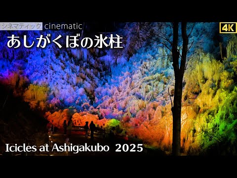 【2025 オープン2日目】ライトアップ 幻想的な氷の世界 『あしがくぼの氷柱』シネマティック Icicles at Ashigakubo  cinematic 4K