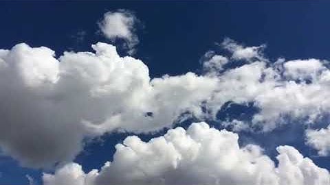 سورة المسد بصوت القارئ وديع اليمني