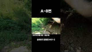랑리온캠핑 | 숲이야기 캠핑장 #21-2 Shorts | A-8번 사이트 | 비어캔치킨 | 대형수영장 | 키즈캠핑장 | 춘천캠핑장 | 코쿤3