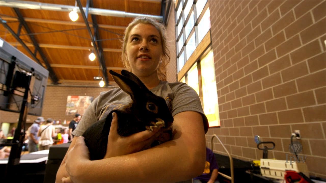 Rabbit Hopping - YouTube