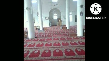 سوره القصص بصوت الشيخ احمد عبد عباس