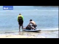 Man suffers after being attacked by a stingray in sydney