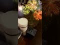 عطر ديور سوفاج أقل سعر ممكن
