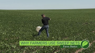 Farm Basics #1050 Sweep Nets (Air Date 5-20-18)