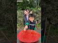 Hey iPhone, I will win the fun game#sorts #shortvideo