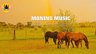 Relaxing Piano Music for Morning Purity Meditation  Creating Positive Morning Energy Effectively
