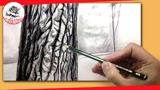 How To Draw a Realistic Tree With Pencil: How to Draw Textures with Pencil Techniques #howtodraw