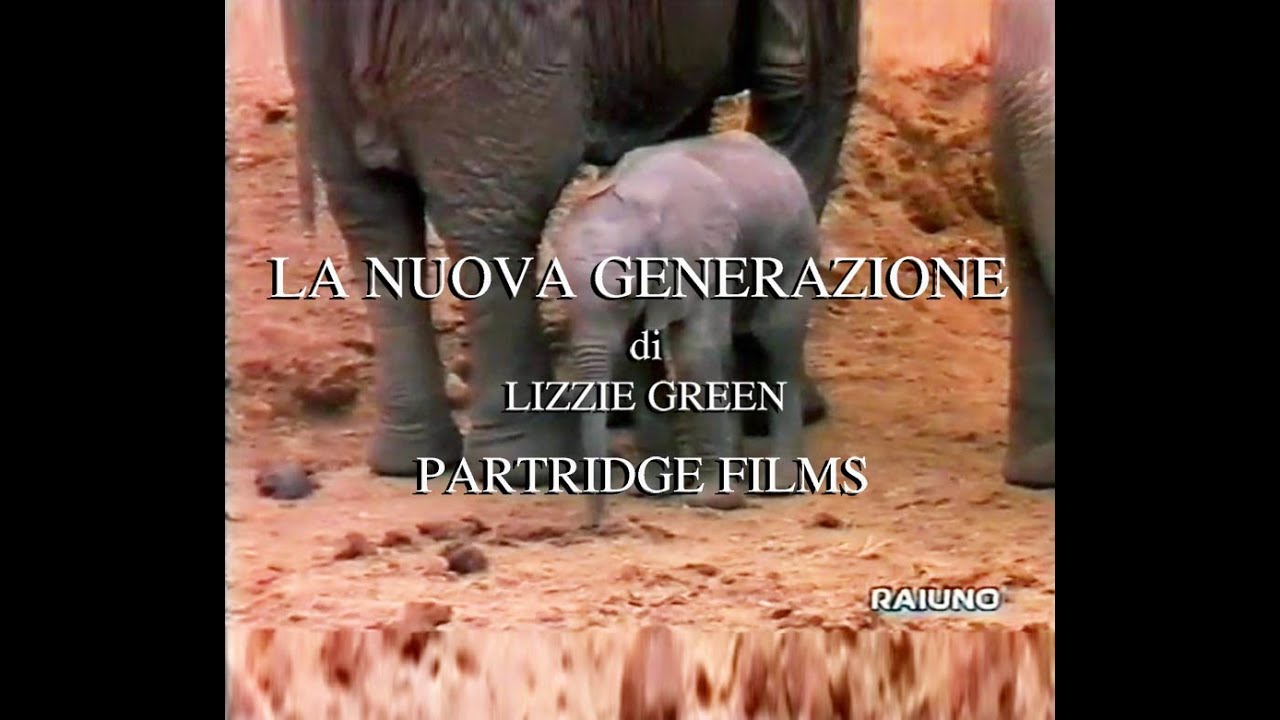 La nuova generazione "cuccioli, pulcini..." - YouTube