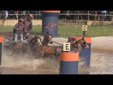Paardendagen Eersel 2019