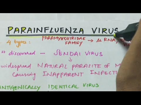 Parainfluenza virus | Microbiology | Handwritten notes