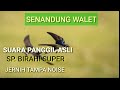 Suara Panggil Asli Sp Birahi Super Mp3 - Mp4 Download