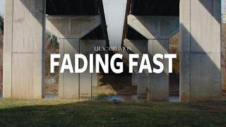 Lilac Oblivion - Fading Fast