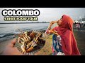 Tried all the famous street foods of sri lanka  kottu egg hopper in colombo  khudalagse