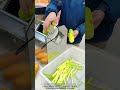 Vegetable Cutting Machine That Slices Without Rotation